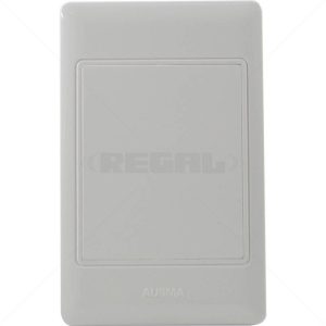 Conduit PVC Cover Plate 4 x 2" Box
