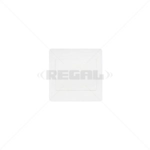 Conduit PVC Cover Plate 4 x 4" Box